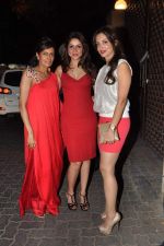 at Anu and Sunny Dewan_s bash in Mumbai on 24th Dec 2012,1 (184).JPG